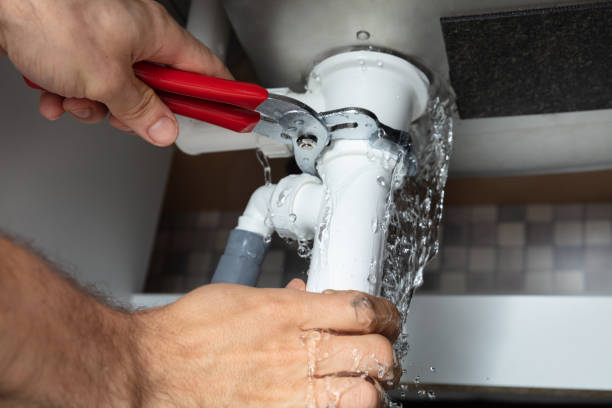 Best Water damage restoration mold remediation  in National City, CA