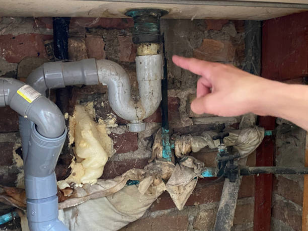 Best Carpet water damage restoration  in National City, CA