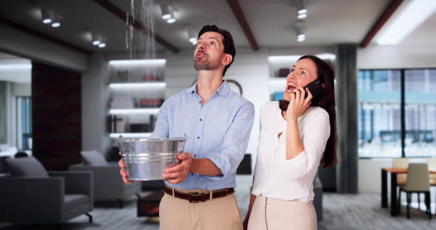 Best Flood restoration services  in National City, CA