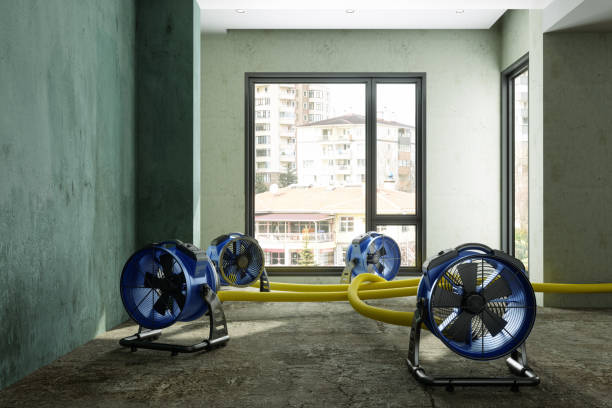 Best Sewage cleanup and water damage restoration  in National City, CA